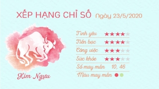 tu vi hang ngay tu vi ngay 23052020 kim nguu