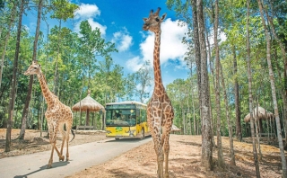 Vinpearl muốn làm khu du lịch sinh thái Vinpearl Safari hơn 1.100 ha ở Hạ Long - Ảnh 1.