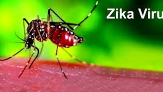 Viet Nam ghi nhan 1 truong hop o Da Nang mac benh do virus Zika hinh anh 1