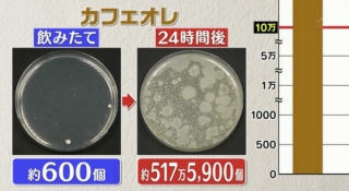 Đài TBS Nhật thử nghiệm 6 loại nước phổ biến sau 24 giờ ở nhiệt độ phòng: Vi khuẩn trong cà phê sữa tăng gấp 8000 lần, trong trà xanh không tăng còn giảm - Ảnh 4.