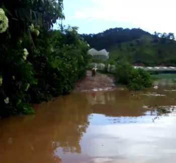 Mưa lớn gây thiệt hại hàng chục ha rau, hoa hồng dưới chân núi Lang Biang - ảnh 9