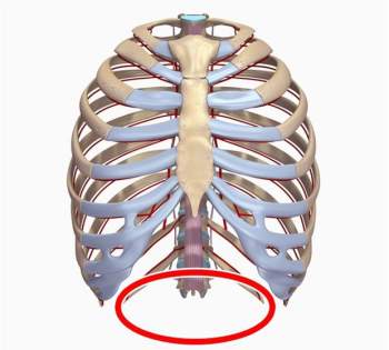 10 bộ phận cơ thể sẽ biến mất trong tương lai, cái số 4 ai nghe xong cũng mừng - Ảnh 8.