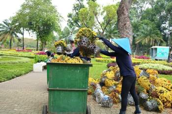 Chợ hoa Tết Sài Gòn ngày 30 Tết: Người bán buồn thiu chở hoa về… - ảnh 9