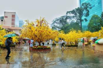 Sài Gòn chiều cuối năm trời đổ mưa: Những vòng xe quay vội ngày sát Tết - ảnh 15