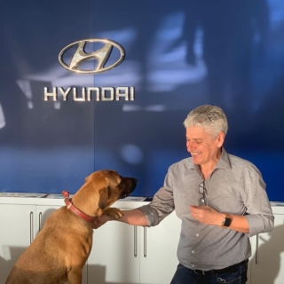 Showroom Hyundai nhận chó hoang vào làm việc, bao ăn ở và thăng chức 2 lần trong 3 tháng - Ảnh 6.