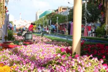 Người Sài Gòn đi đường hoa Nguyễn Huệ: Có người kéo khẩu trang xuống chụp ảnh rồi kéo lên - ảnh 10