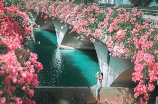 Gần Hà Nội lại có thêm một cây cầu hoa giấy, chụp lên ảnh đẹp như tranh vẽ - Ảnh 1.