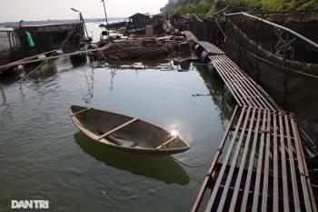 Sông Đà cạn trơ đáy, nông dân hối hả bơm cát cứu cá - 12