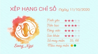 12 Tu vi hang ngay - Tu vi ngay 11102020 Song Ngu