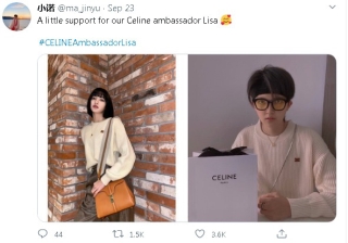 Nể fan của Lisa: Chốt đơn liên tục, mua cả tá đồ Celine mừng idol thành đại sứ toàn cầu - Ảnh 14.