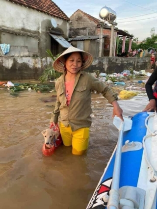 Chú chó được bà chủ xách theo không rời nửa bước giữa mênh mông nước lũ khiến dân mạng có một phen cười bò - Ảnh 1.