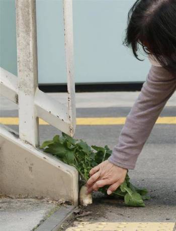 Một củ cải trắng ngang nhiên mọc giữa thành phố xịn nhất Nhật Bản bỗng dưng trở thành điểm check-in nổi tiếng - Ảnh 4.