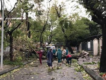 Ảnh: Thiệt hại ban đầu do bão số 13 ở Thừa Thiên - Huế - Ảnh 7.