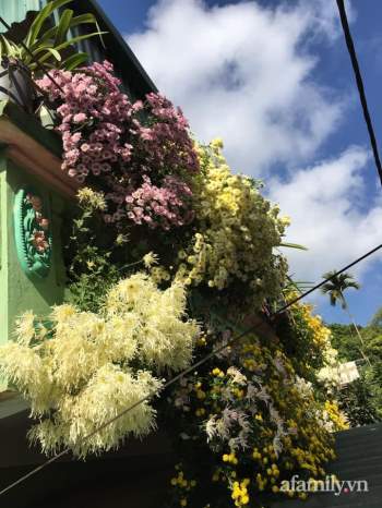 Ngôi nhà ngập tràn sắc màu hoa cúc đẹp lãng mạn của cô giáo phố núi Sơn La - Ảnh 15.