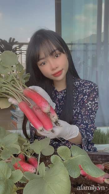 Góc vườn nhỏ xinh đủ loại rau quả trên ban công của cô giáo Việt xinh đẹp ở Hàn Quốc - Ảnh 5.
