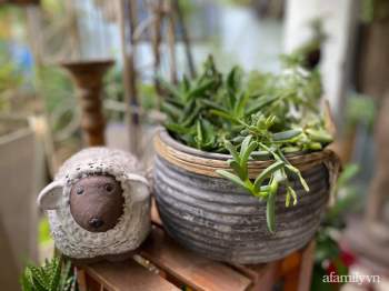 Khu vườn nhỏ với đủ đồ decor siêu kute của người phụ nữ mê DIY đồ gỗ ở Sài Gòn - Ảnh 20.