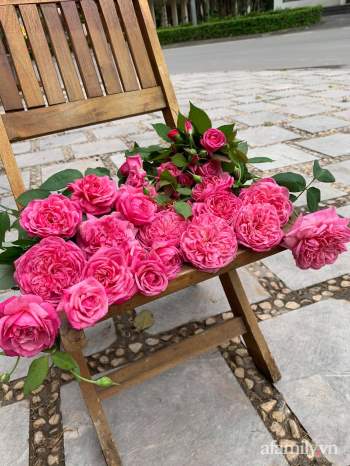 Ngôi nhà quanh năm rực rỡ sắc hương hoa hồng và đủ loại cây ăn quả ở Hà Nội - Ảnh 11.