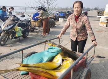 Ngư dân Hà Tĩnh trúng đậm lộc biển, thu về hơn 600 triệu đồng - Ảnh 2.