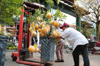 Chợ hoa Tết Sài Gòn ngày 30 Tết: Người bán buồn thiu chở hoa về… - ảnh 13