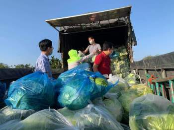 Người Đà Nẵng “giải cứu” nông sản cho Hải Dương: “Mỗi một củ su hào là một nghĩa tình đồng bào” - Ảnh 2.