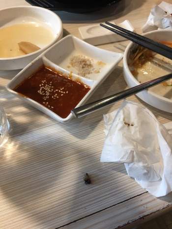 Chuỗi nhà hàng buffet lẩu nướng nổi tiếng ở Hà Nội bị tố vì phục vụ lâu, nhân viên nói bậy, thái độ đuổi khách, lại còn có... gián - Ảnh 2.