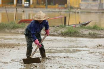 Trăm người căng sức dọn bùn ở phố cổ Hội An sau mưa lũ - 4