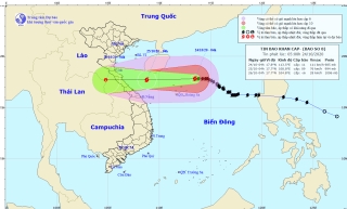 bao so 8 giat cap 13 cach quan dao hoang sa 160km