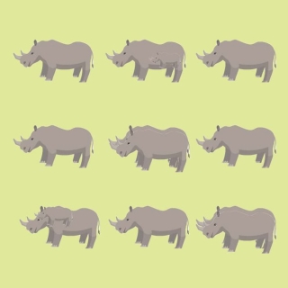 Thử độ tinh tường của thị giác: Bạn có thể nói đúng số lượng voi, sư tử... trong từng ảnh không? - Ảnh 3.