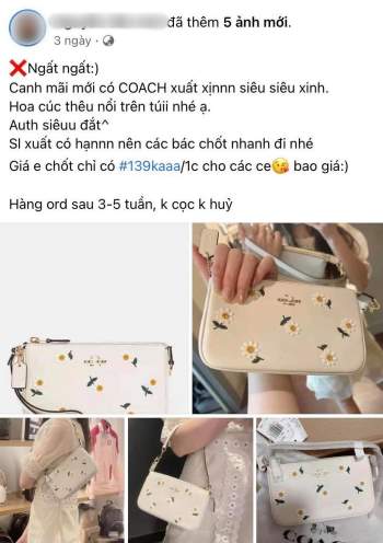  Túi Coach hoa cúc đang hot rần rần, đến hàng fake giá bằng 1/100 giá gốc cũng khiến dân tình phát cuồng - Ảnh 9.