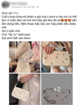  Túi Coach hoa cúc đang hot rần rần, đến hàng fake giá bằng 1/100 giá gốc cũng khiến dân tình phát cuồng - Ảnh 10.