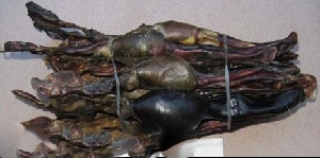Hải cẩu thận tác dụng ôn thận tráng dương ích tinh. Trị nam giới liệt dương, di tinh, đau lưng mỏi gối.