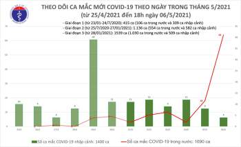 Việt Nam ghi nhận thêm 56/60 ca Covid-19 lây nhiễm trong nước -0