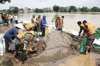 ha noi chu dong trien khai thuc hien cac bien phap phong chong thien tai