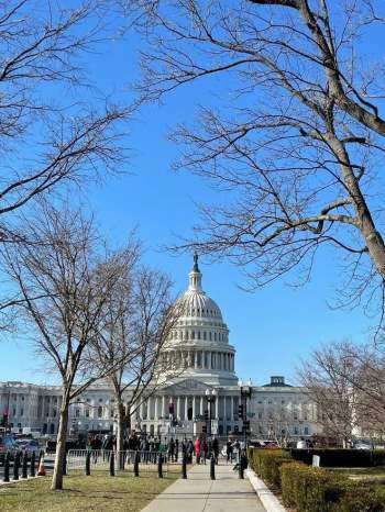 Việt kiều tường thuật bên ngoài Nhà Quốc hội Mỹ: Sau 'Ngày đen tối' chuyện gì đã xảy ra? - ảnh 1