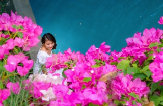 Gần Hà Nội lại có thêm một cây cầu hoa giấy, chụp lên ảnh đẹp như tranh vẽ - Ảnh 6.