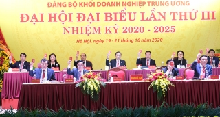 Đại hội đại biểu Đảng bộ Khối Doanh nghiệp Trung ương lần thứ III, nhiệm kỳ 2020 – 2025 thành công tốt đẹp - Ảnh 5.