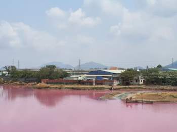 Hồ nước màu hồng ở Vũng Tàu: Đình chỉ hoạt động, phạt tiền công ty xả thải - ảnh 1