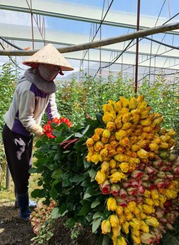 Tặng móc khóa an ninh cho người dân dưới chân núi Lang Biang - ảnh 4