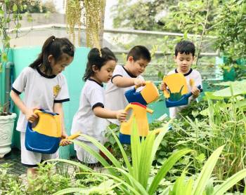 Công trình “mảng xanh trên không” giúp trẻ khám phá thế giới xung quanh