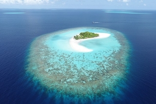 Các đảo san hô nhỏ có khả năng tự thích ứng với nước biển dâng