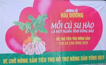 Người Đà Nẵng “giải cứu” nông sản cho Hải Dương: “Mỗi một củ su hào là một nghĩa tình đồng bào” - Ảnh 6.