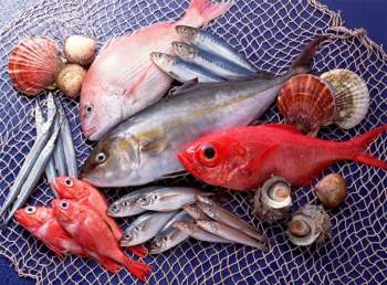 3 loại cá nên hạn chế ăn để tốt cho sức khỏe