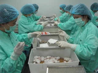Việt Nam tiến hành thử nghiệm vaccine Covid-19 trên khỉ - Ảnh 1.