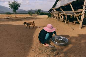 Nguoi chan cuu Ninh Thuan anh 28