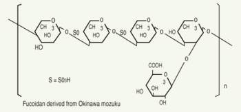 Món quà tuyệt vời cho sức khỏe từ Fucoidan có nguồn gốc từ tảo nâu - ảnh 2