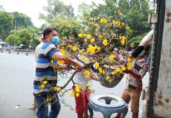 Chợ hoa Tết Sài Gòn ngày 30 Tết: Người bán buồn thiu chở hoa về… - ảnh 2