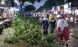 TP.HCM: Cây xanh tét nhánh, rơi đè trúng cô gái bị thương, bạn trai hoảng loạn kêu cứu - Ảnh 1.