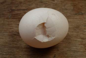 4 loại trứng chả bổ béo gì nhưng nhiều người vẫn tiếc rẻ mà cố ăn khiến sức khỏe bị tổn hại mà không hay biết - Ảnh 4.