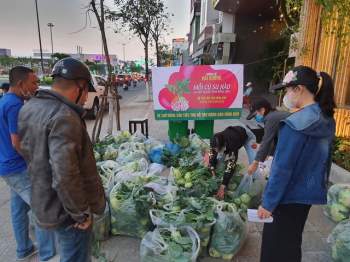 Người Đà Nẵng “giải cứu” nông sản cho Hải Dương: “Mỗi một củ su hào là một nghĩa tình đồng bào” - Ảnh 4.