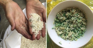 4 loại gạo cực độc tuyệt đối đừng nên ăn, không những gây ung thư mà sinh con bị dị tật - Ảnh 1